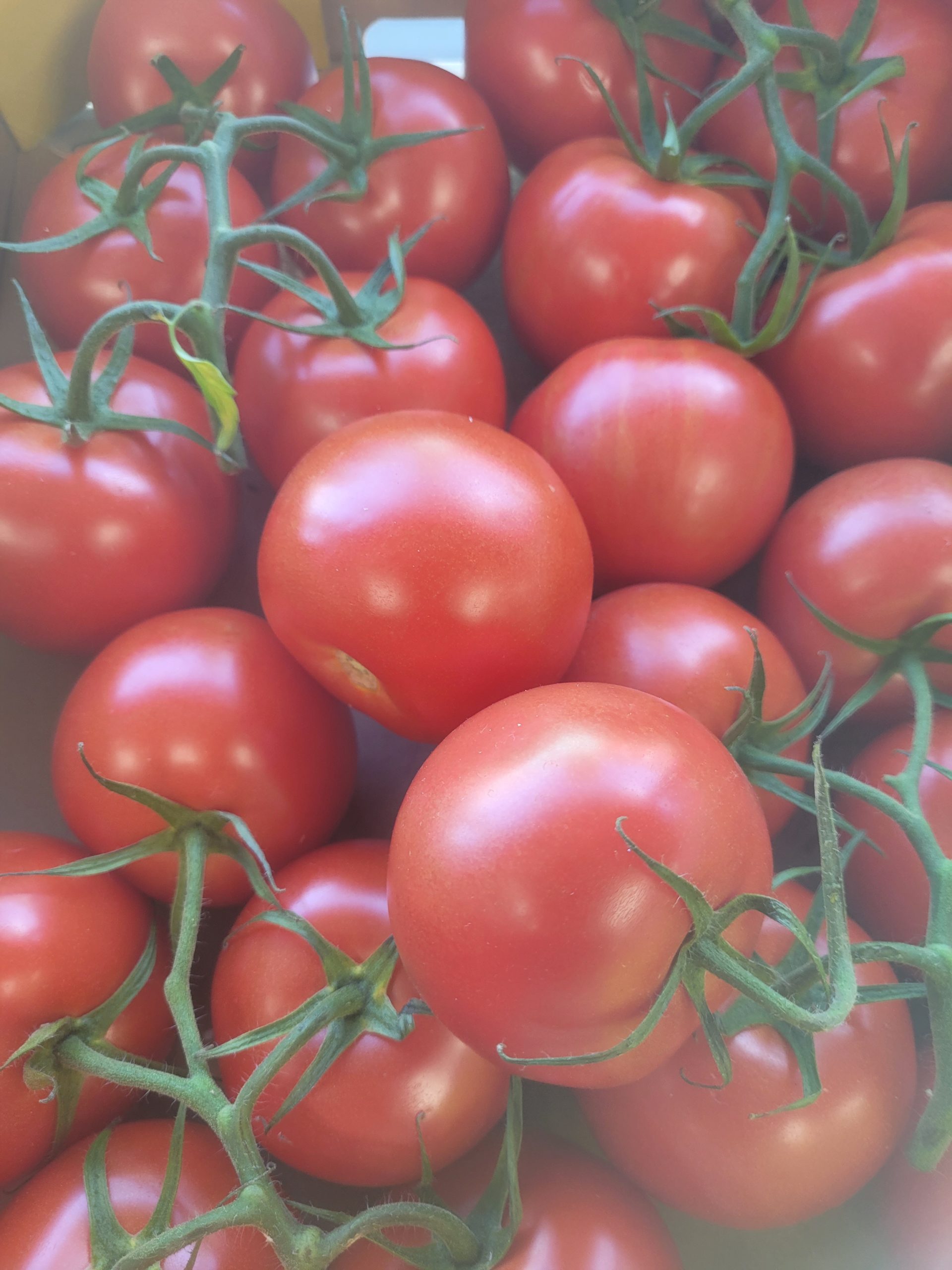 Tomato (1kg)