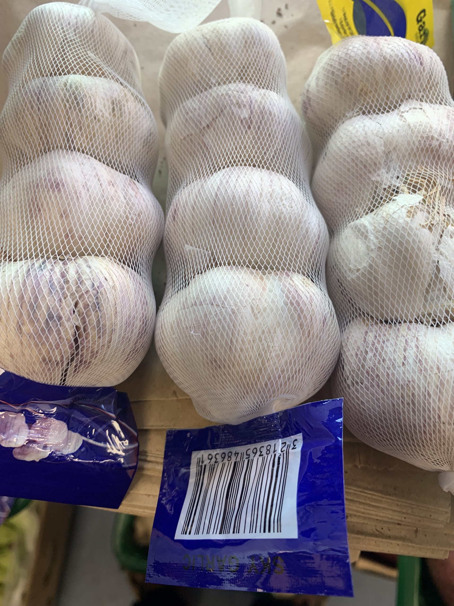 Garlic(small)